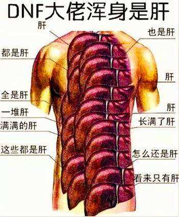 「攻略向」作为一个全新的萌新,DNF这个游戏该怎么从零开始玩