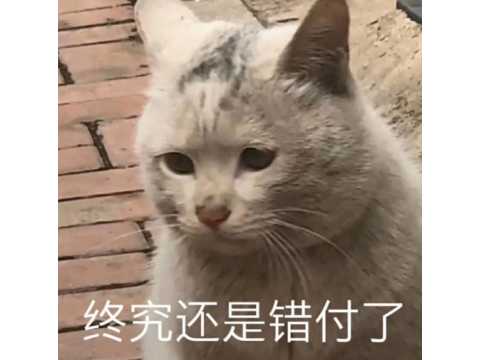 永恒之塔上千人团战,当年拉垮多少人的显卡?