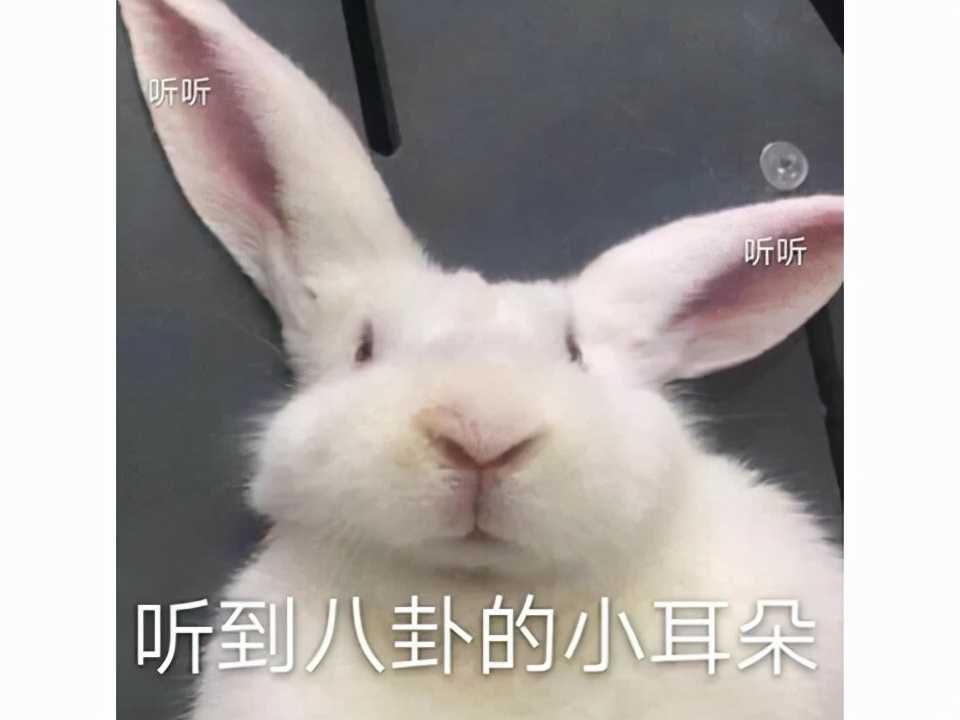 赚钱这么容易？服务开通不到一个月，一些玩家通过销售设备赚了数万美元？