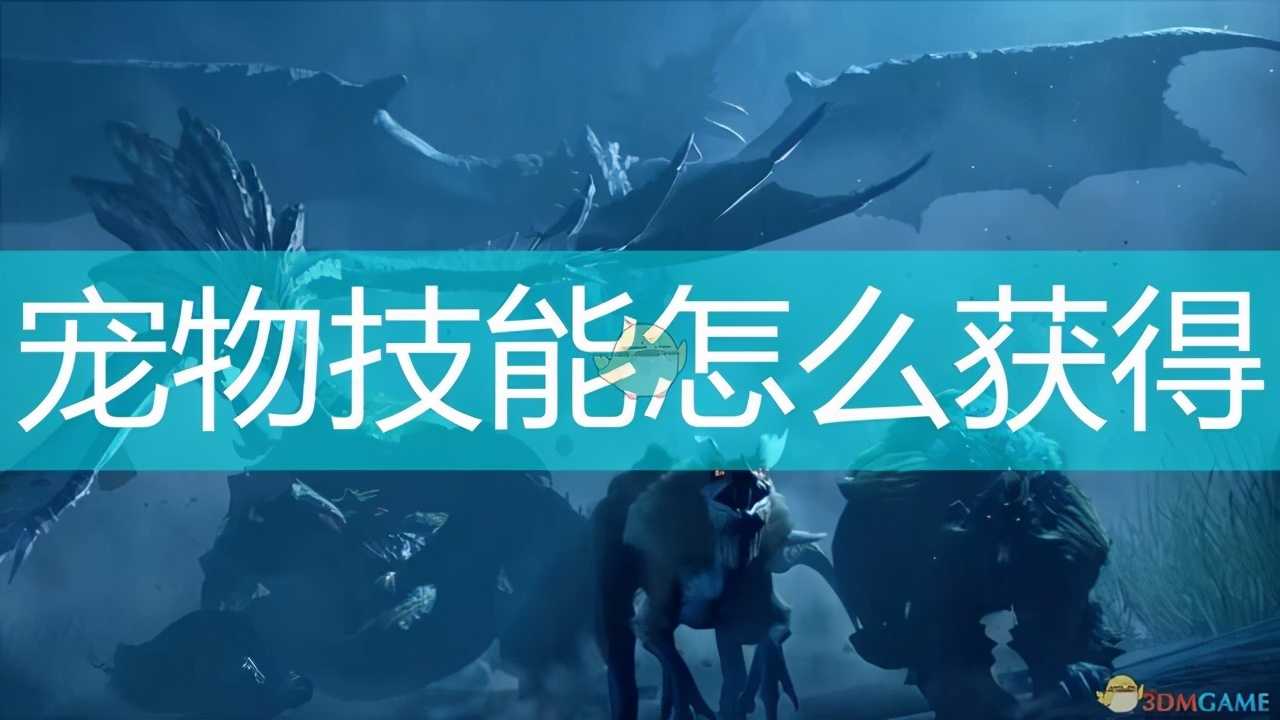 《怪物猎人 崛起》飞龙优质龙蛋位置攻略 飞龙的优质蛋在哪里（怪物猎人世界飞龙蛋的蛋在哪里）
