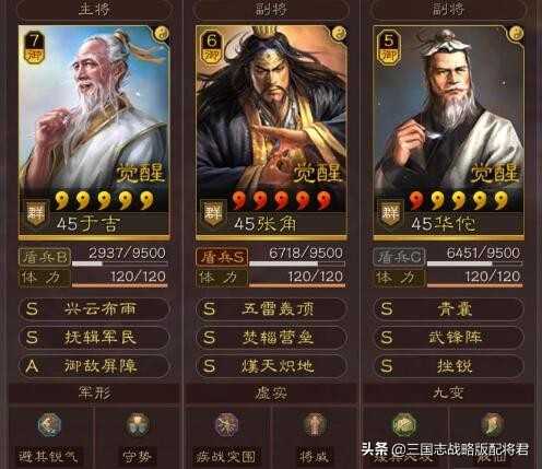 三国志战略版适合真正平民的八队,共存强度全都拉满