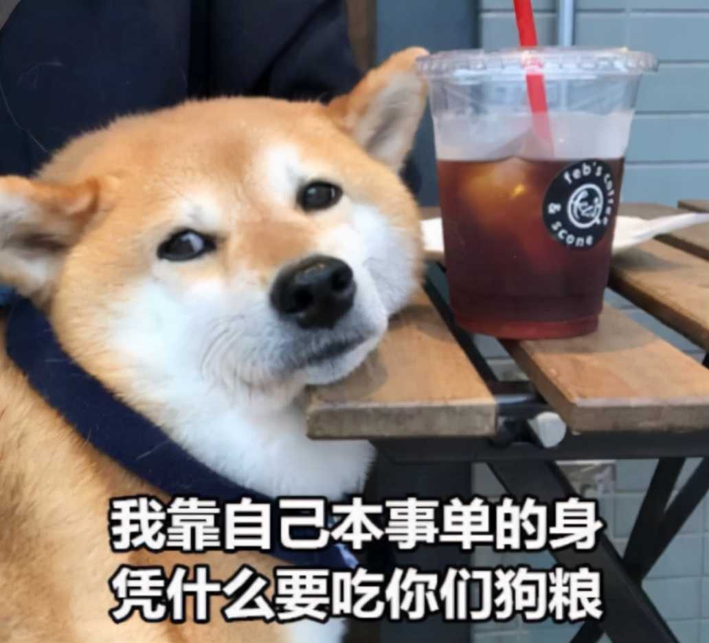 逆水寒开放第二职业,单身狗却集体哭晕:这比挂风筝还恐怖啊