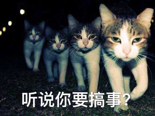《暗黑4》《永恒之塔2》领衔!那些值得期待的经典老IP新作