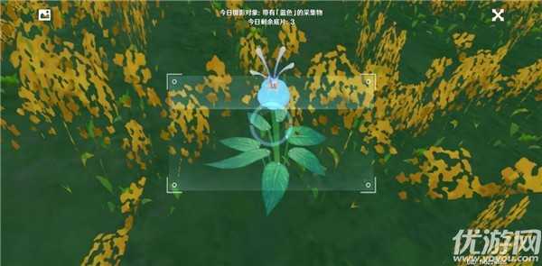 原神蓝色采集物在哪里?原神福至五彩带有蓝色的采集物有哪些?