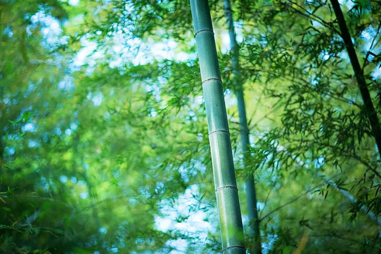 中国武侠十城:一半人间烟火,一半侠骨柔肠