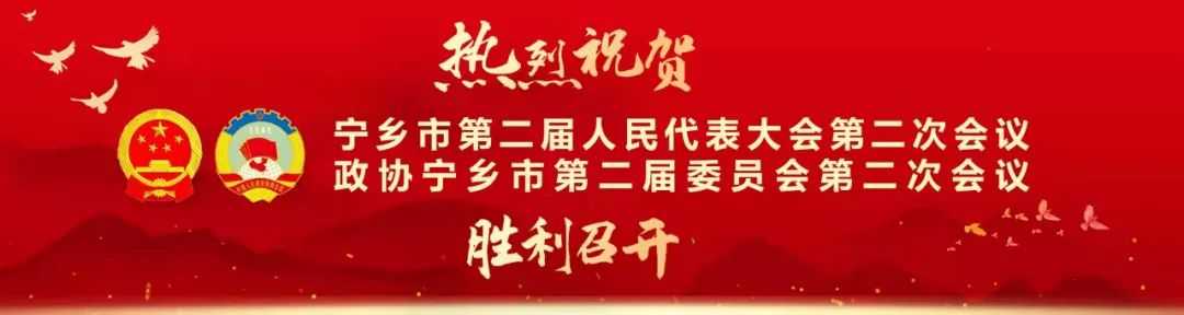 【聚焦两会】政协宁乡市第二届委员会第二次会议开幕!