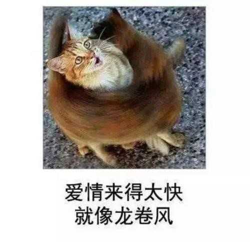 逆水寒:教你如何攻略“无敌公子”