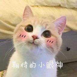 《遇见逆水寒》不仅可以谈恋爱，以后还能跟姐妹讨论化妆术？（遇见逆水寒是逆水寒吗）