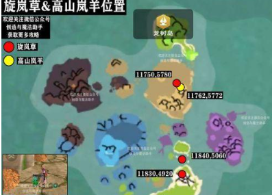 创造与魔法旋岚草位置 创造与魔法夕阳花/苍穹幻龙怎么制作