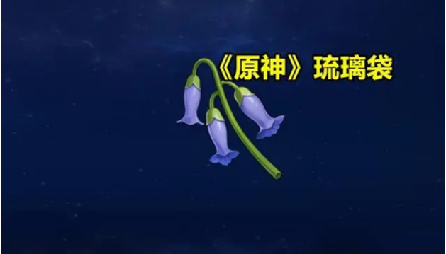 原神琉璃袋采集位置在哪里-琉璃袋采集位置分享